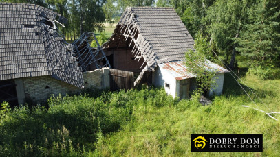 Dom Sprzedaż Bagno