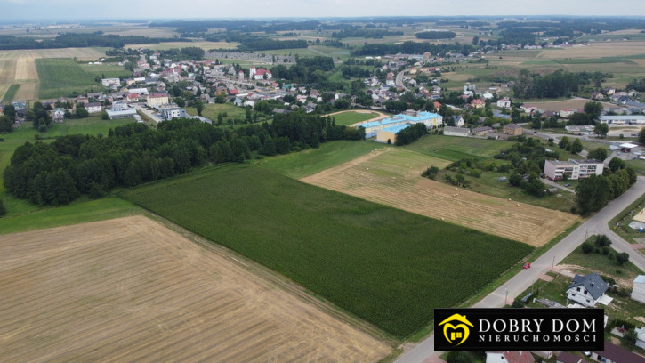 Działka Sprzedaż Trzcianne 2