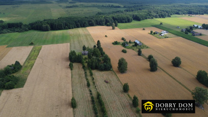 Dom Sprzedaż Nowy Lipsk