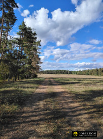 Działka Sprzedaż Danowskie