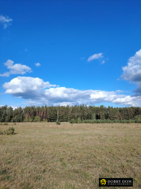 Działka Sprzedaż Danowskie