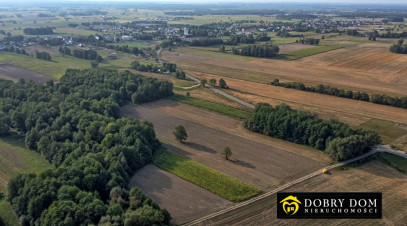 Działka Sprzedaż Krypno Kościelne