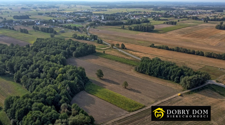 Działka Sprzedaż Krypno Kościelne 8