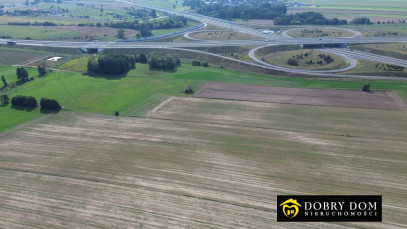 Działka Sprzedaż Zambrów