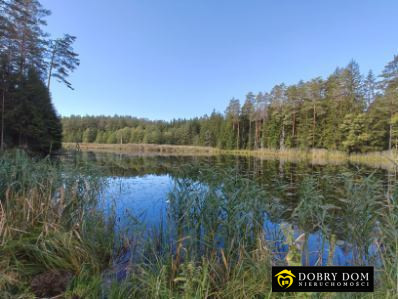 Działka Sprzedaż Folwarki Wielkie 5