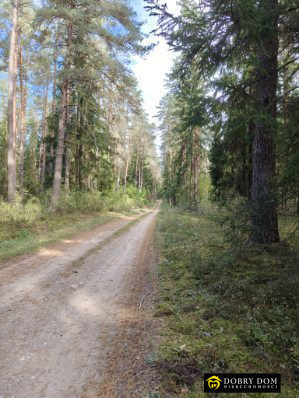 Działka Sprzedaż Folwarki Wielkie 17