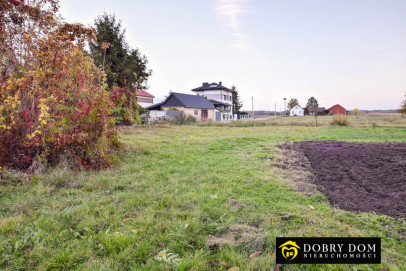 Dom Sprzedaż Dobrzyniewo Kościelne