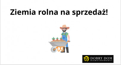 Działka Sprzedaż Dubiażyn