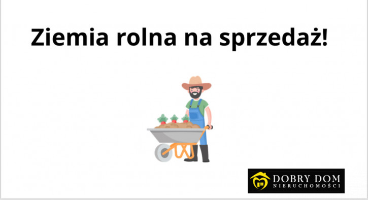 Działka Sprzedaż Dubiażyn 1