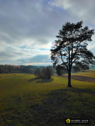 Działka Sprzedaż Przerośl 4