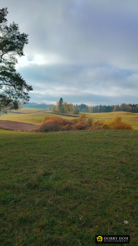 Działka Sprzedaż Przerośl 7