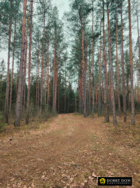 Działka Sprzedaż Tajenko