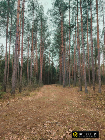 Działka Sprzedaż Tajenko 5