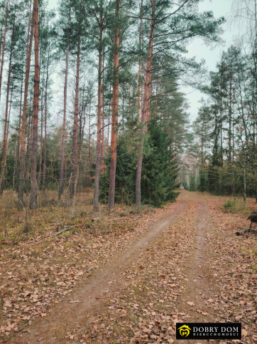 Działka Sprzedaż Tajenko 6