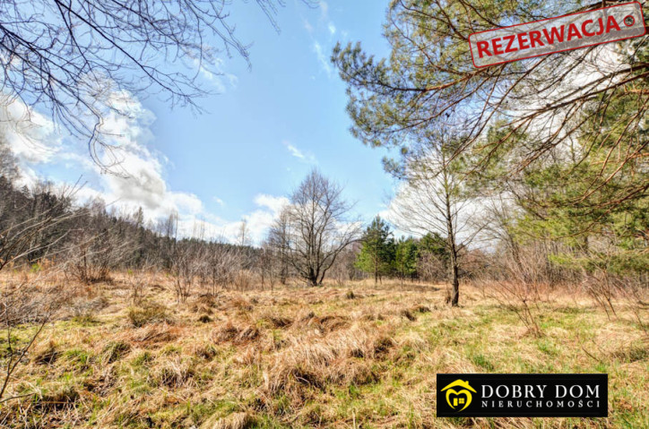 Działka Sprzedaż Płaska 5