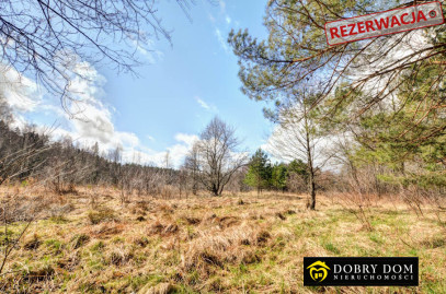 Działka 1000m2 Płaska — zdjęcie 5 z 7
