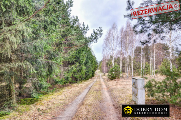 Działka Sprzedaż Płaska 6