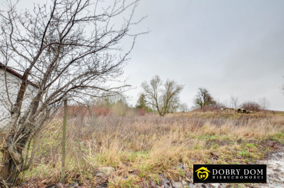 Dom 51m2 Olszewo — zdjęcie 10 z 13