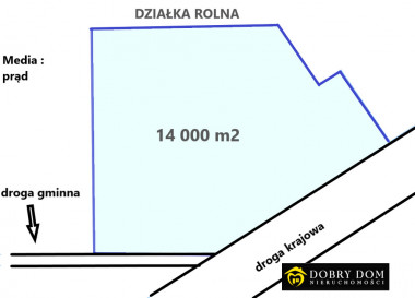 Działka 14499m2 Ryboły — widok główny
