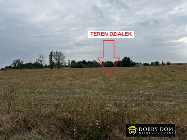 Działka Sprzedaż Knyszyn 2
