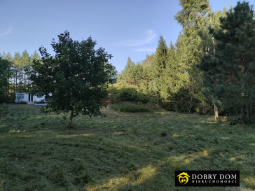 Działka 3984m2 Jeziorki — zdjęcie 8 z 15