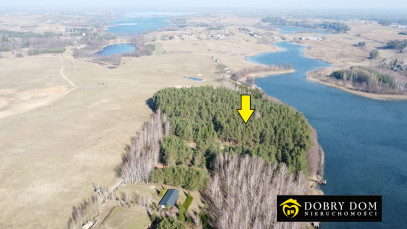Działka 6139m2 Sztabinki — wnętrze 2