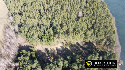 Działka 6139m2 Sztabinki — zdjęcie 5 z 20