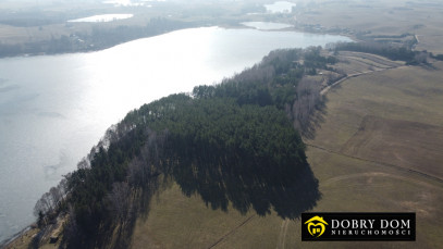 Działka 6139m2 Sztabinki — zdjęcie 9 z 20