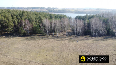 Działka 6139m2 Sztabinki — zdjęcie 12 z 20