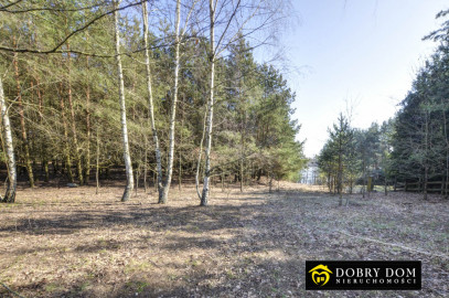 Działka 6139m2 Sztabinki — zdjęcie 13 z 20