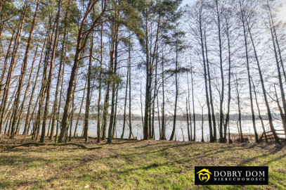 Działka 6139m2 Sztabinki — zdjęcie 14 z 20