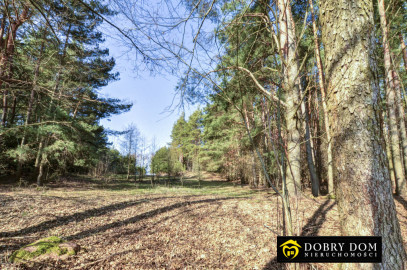 Działka 6139m2 Sztabinki — zdjęcie 15 z 20