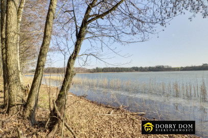 Działka 6139m2 Sztabinki — zdjęcie 18 z 20