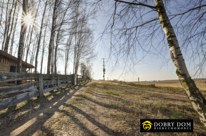 Działka 6139m2 Sztabinki — zdjęcie 19 z 20