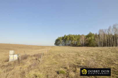 Działka 6139m2 Sztabinki — zdjęcie 20 z 20