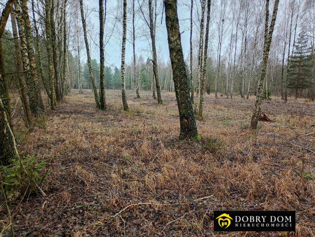 Działka Sprzedaż Bołtryki 2