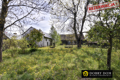 Dom 50m2 Sypnie Nowe — zdjęcie 9 z 12
