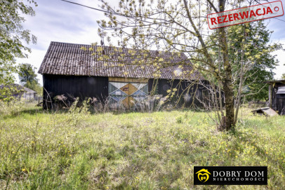 Dom 50m2 Sypnie Nowe — zdjęcie 8 z 12