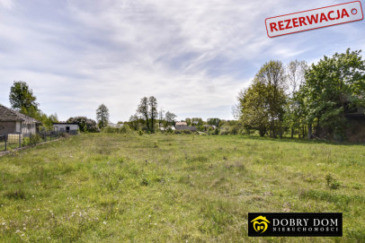Dom 50m2 Sypnie Nowe — zdjęcie 12 z 12