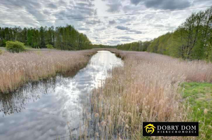 Dom Sprzedaż Zelwa 31