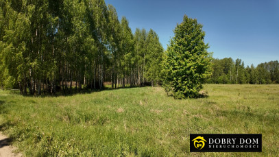 Działka 880m2 Ignatki — widok główny