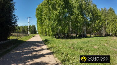 Działka 880m2 Ignatki — zdjęcie od frontu
