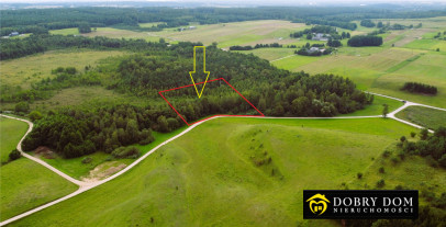 Działka 5585m2 Osinki — widok główny