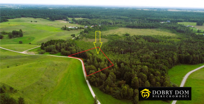 Działka 5585m2 Osinki — zdjęcie od frontu