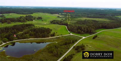 Działka 5585m2 Osinki — wnętrze 2