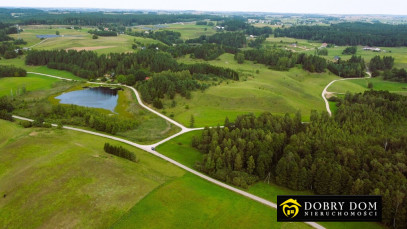 Działka 5585m2 Osinki — wnętrze 3