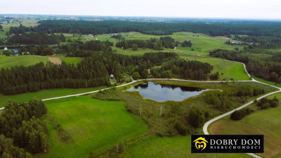 Działka 5585m2 Osinki — zdjęcie 5 z 7