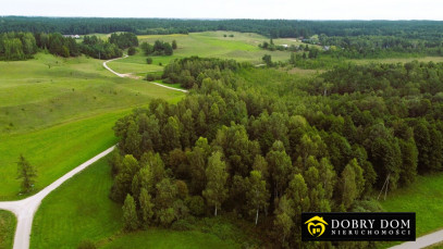 Działka 5585m2 Osinki — zdjęcie 6 z 7
