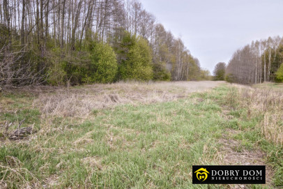 Działka 12000m2 Widowo — widok główny