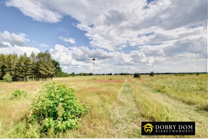 Działka 969m2 Doratynka — wnętrze 2